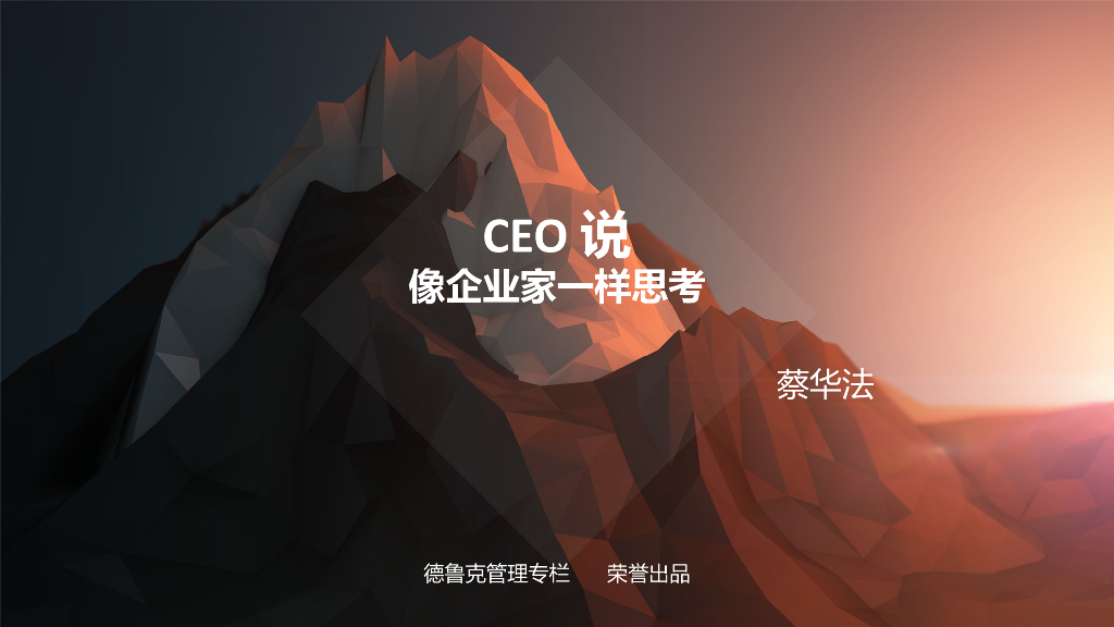 CEO说-像企业家一样思考