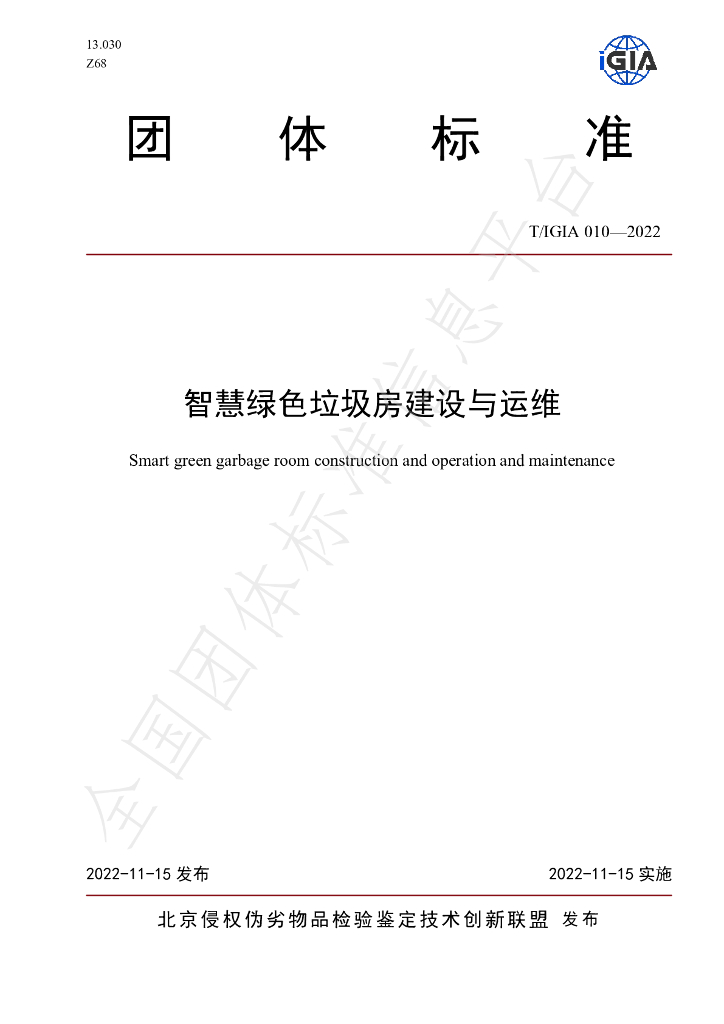 T/IGIA 010-2022 标准预览