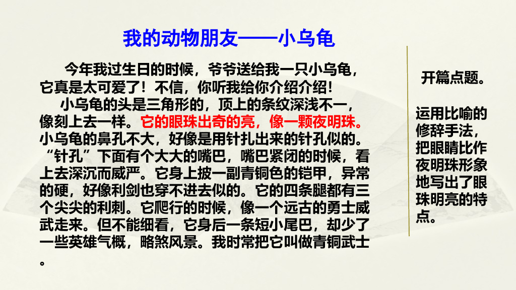 范文2：我的动物朋友——小乌龟