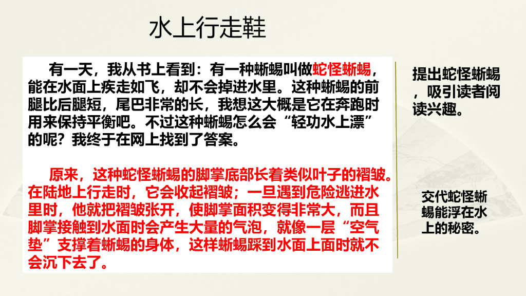 范文1：水上行走鞋