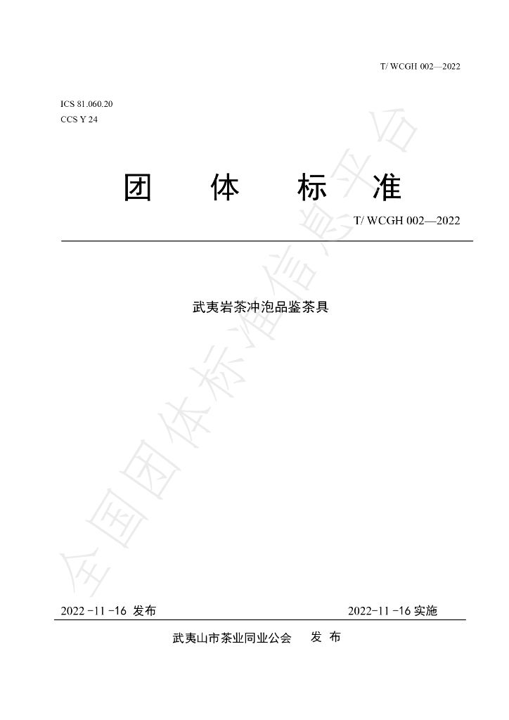 T/WCGH 002-2022 标准预览