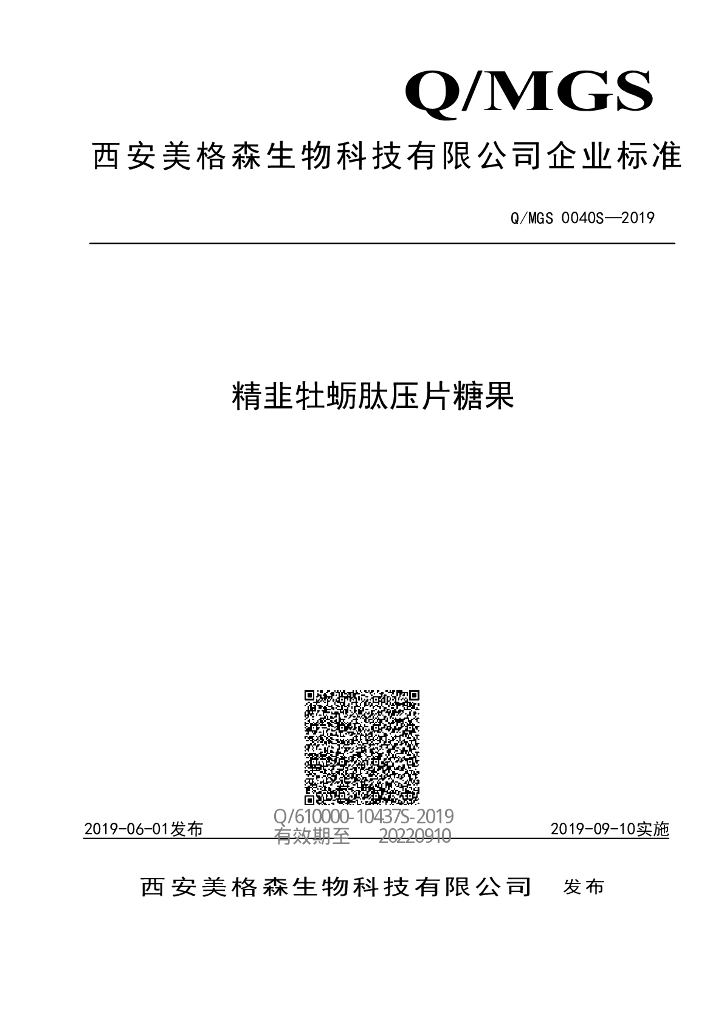 Q/MGS 0040S-2019 标准预览