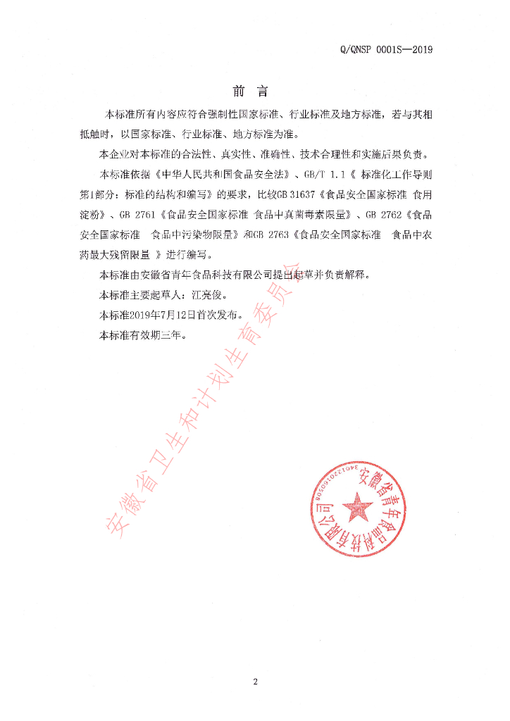Q/QNSP 0001S-2019 标准预览