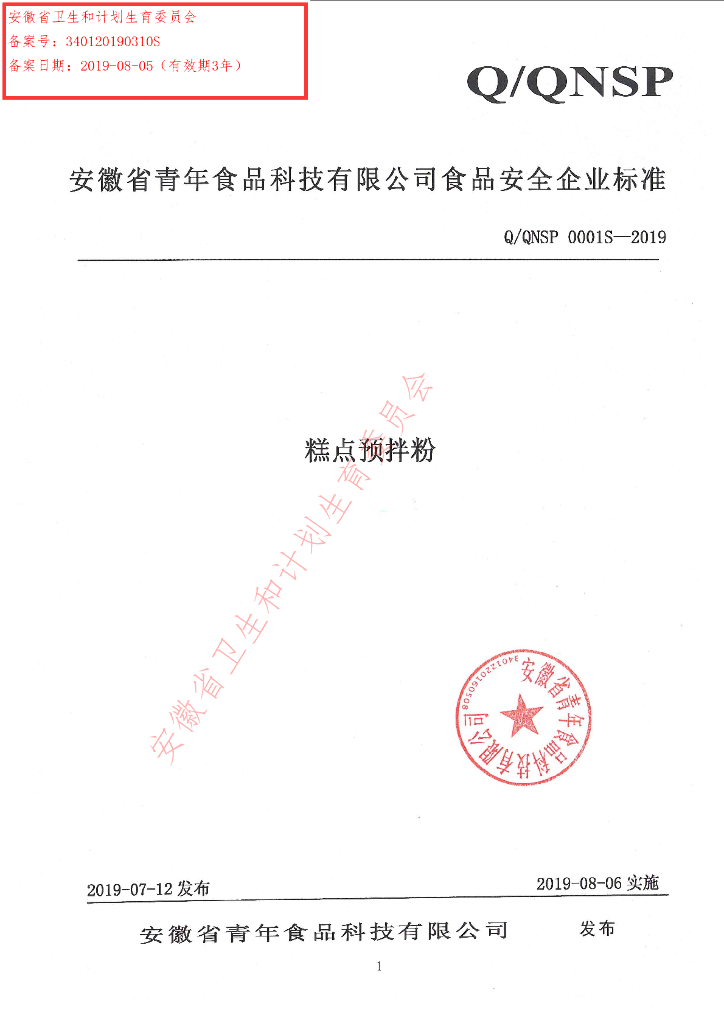 Q/QNSP 0001S-2019 标准预览