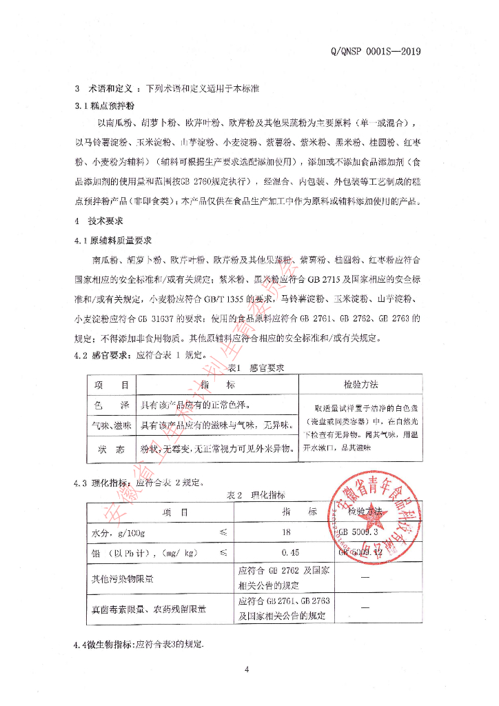 Q/QNSP 0001S-2019 标准预览