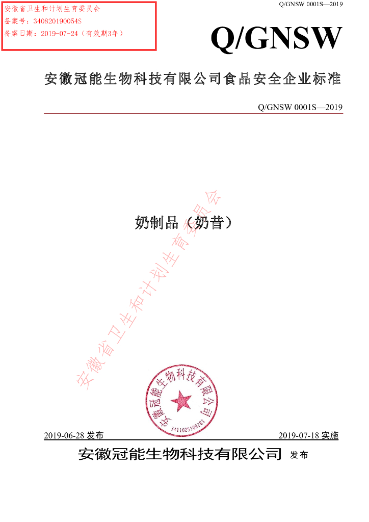 Q/GNSW 0001S-2019 标准预览