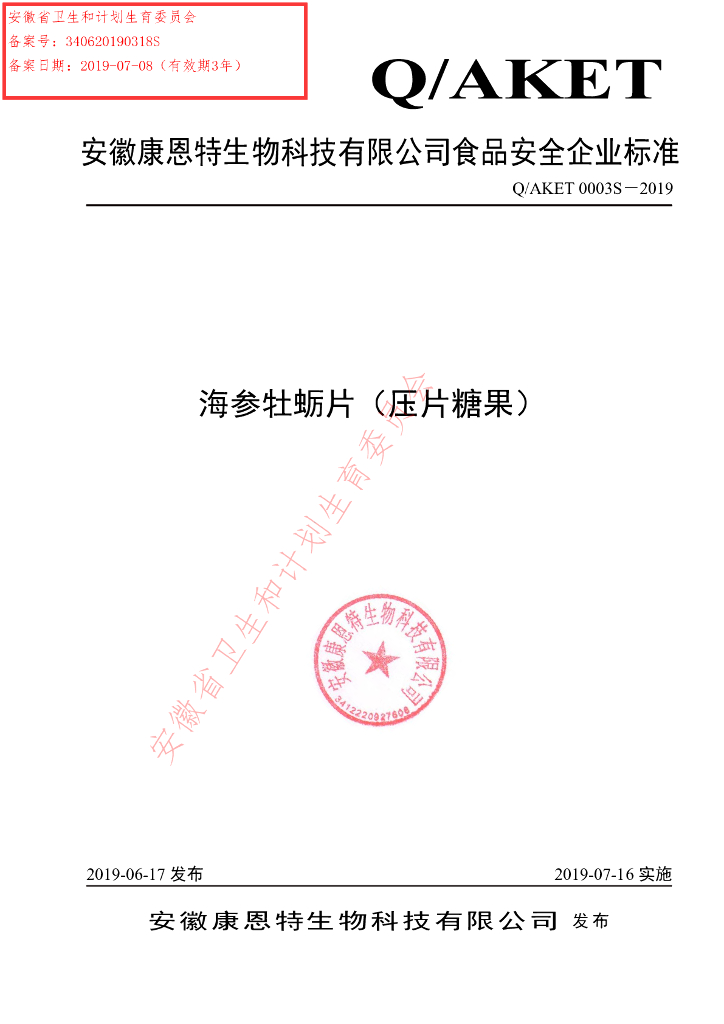 Q/AKET 0003S-2019 标准预览