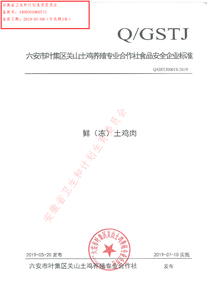 Q/GSTJ 0001S-2019 标准预览