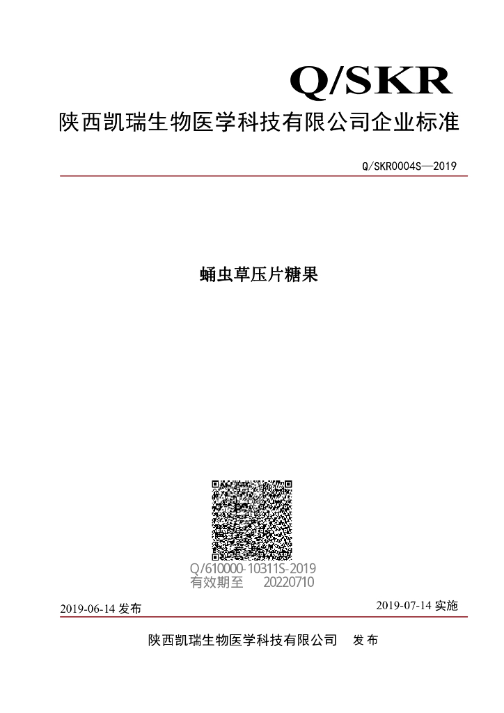 Q/SKR 0004S-2019 标准预览