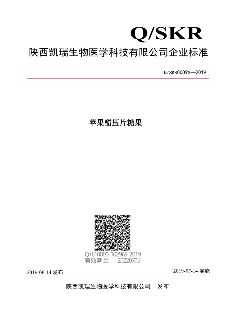 Q/SKR 0009S-2019 标准预览