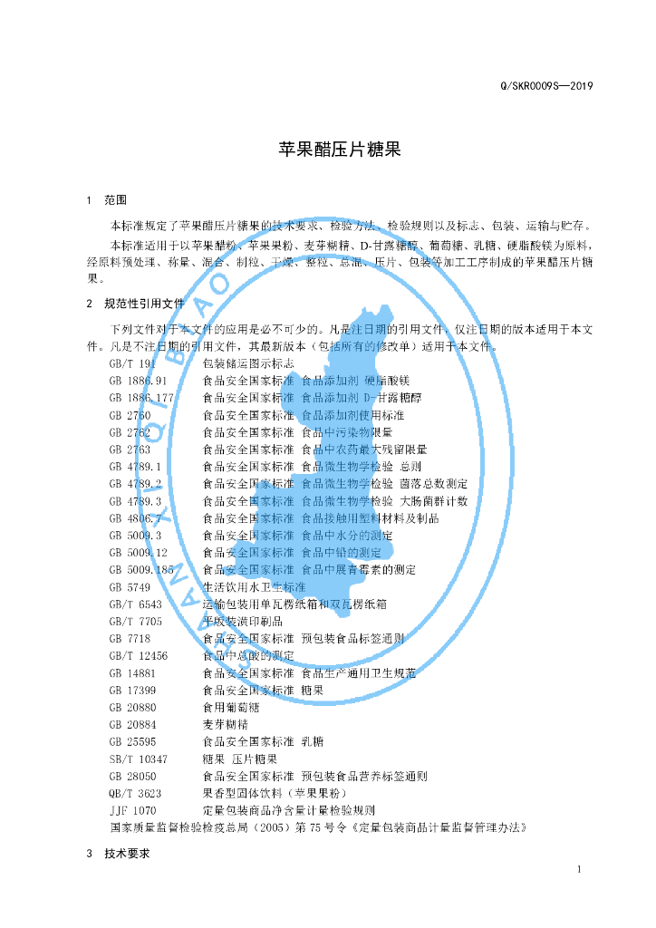 Q/SKR 0009S-2019 标准预览
