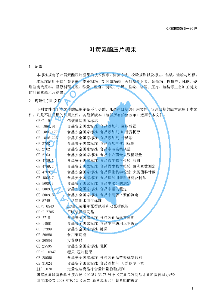 Q/SKR 0008S-2019 标准预览