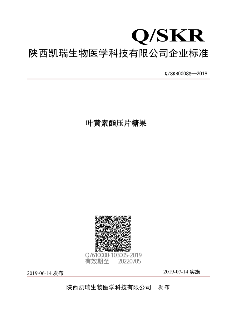 Q/SKR 0008S-2019 标准预览