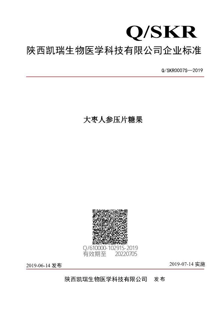 Q/SKR 0007S-2019 标准预览