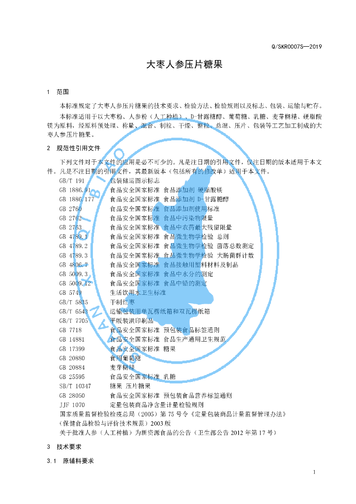 Q/SKR 0007S-2019 标准预览