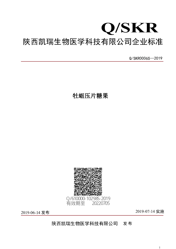Q/SKR 0006S-2019 标准预览