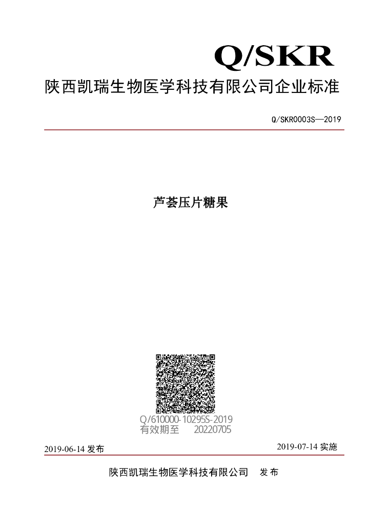 Q/SKR 0003S-2019 标准预览