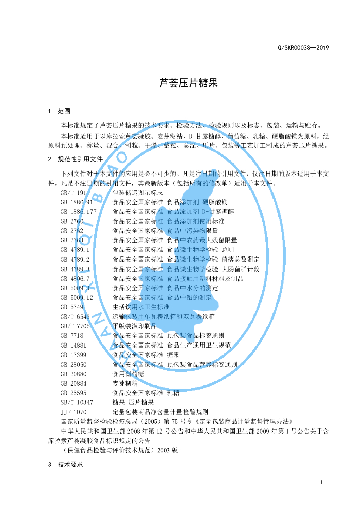Q/SKR 0003S-2019 标准预览