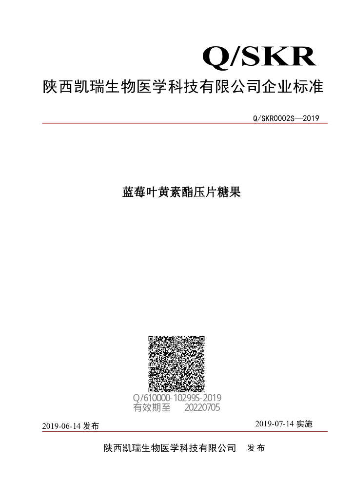Q/SKR 0002S-2019 标准预览