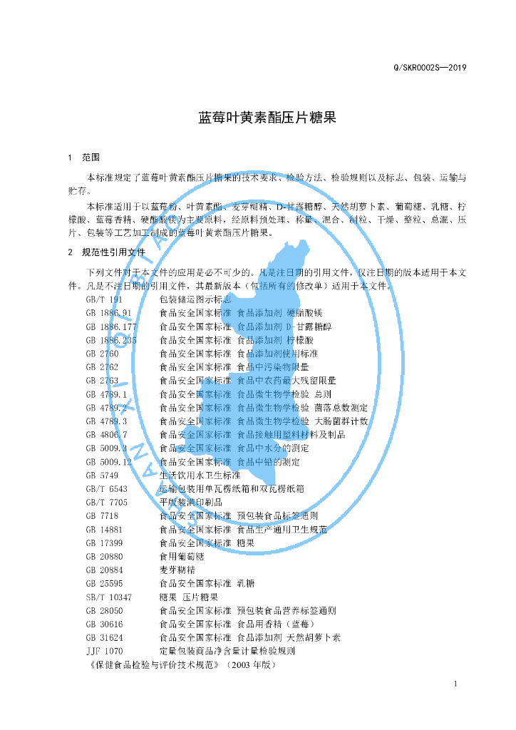 Q/SKR 0002S-2019 标准预览