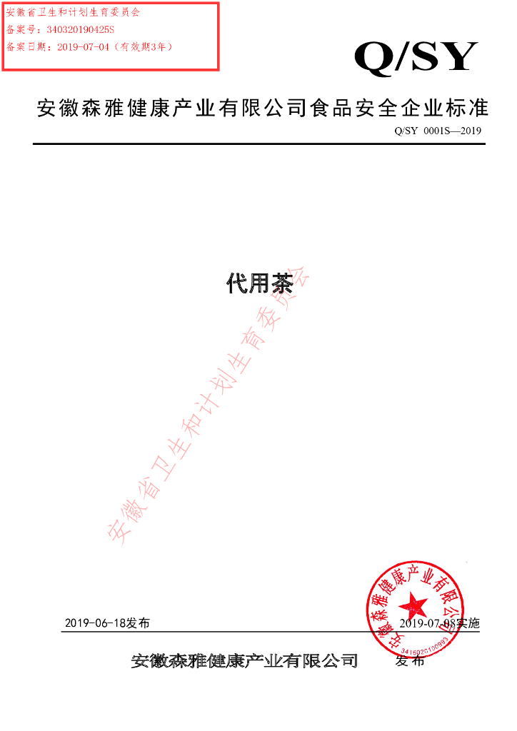 Q/SY 0001S-2019 标准预览