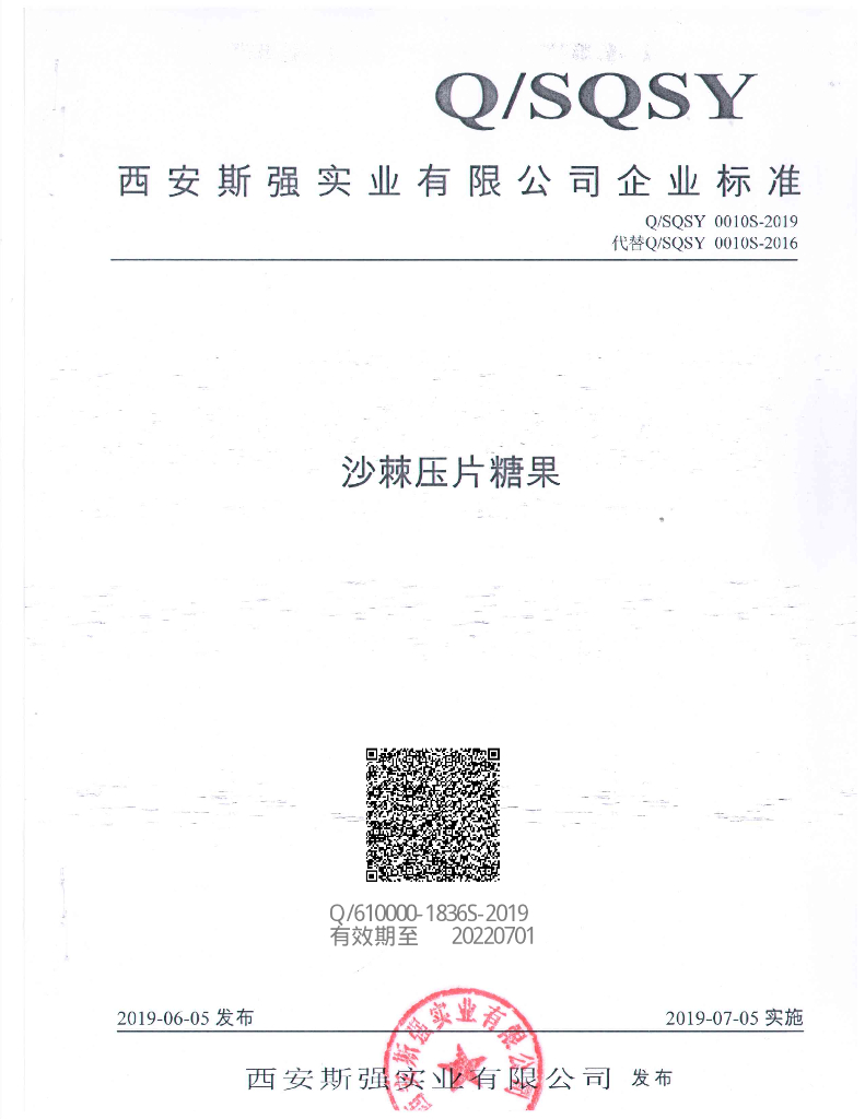 Q/SQSY 0010S-2019 标准预览