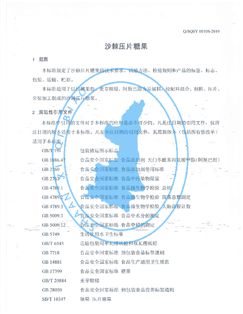 Q/SQSY 0010S-2019 标准预览