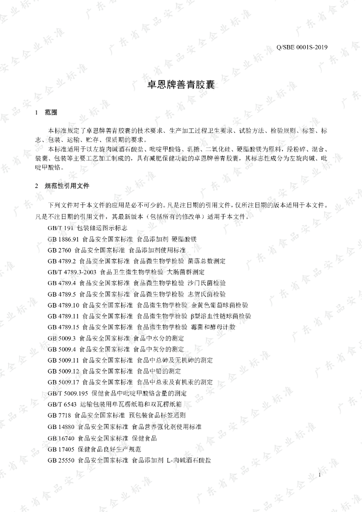 Q/SBE 0001S-2019 标准预览