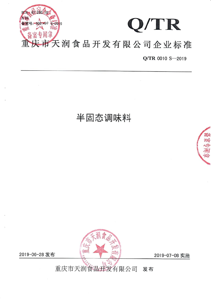 Q/TR 0010S-2019 标准预览