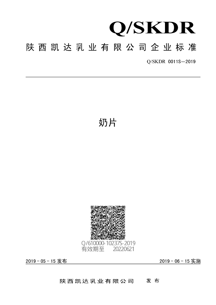 Q/SKDR 0011S-2019 标准预览