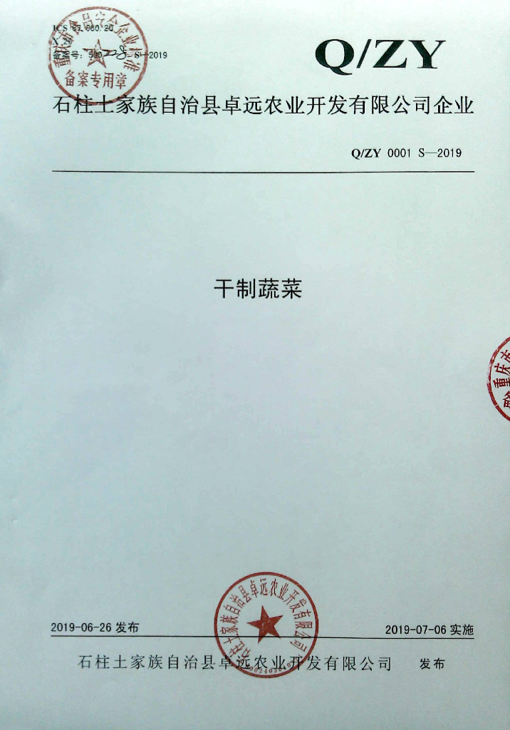 Q/ZY 0001S-2019 标准预览