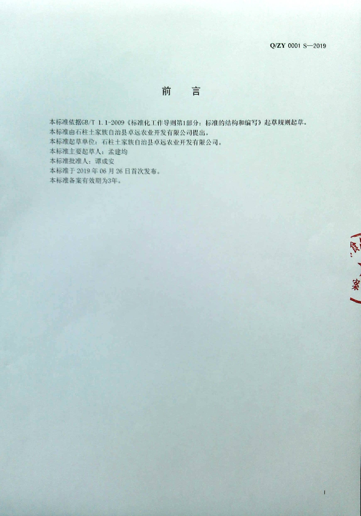 Q/ZY 0001S-2019 标准预览