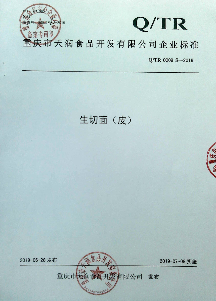 Q/TR 0009S-2019 标准预览