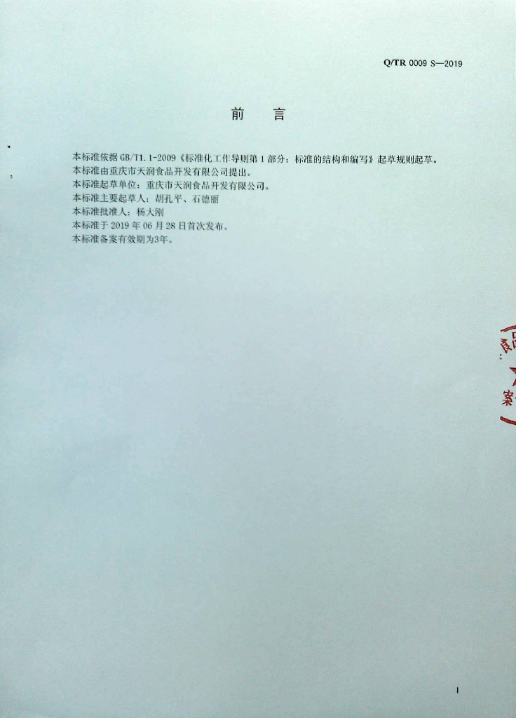 Q/TR 0009S-2019 标准预览