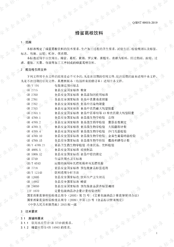 Q/BNT 0001S-2019 标准预览