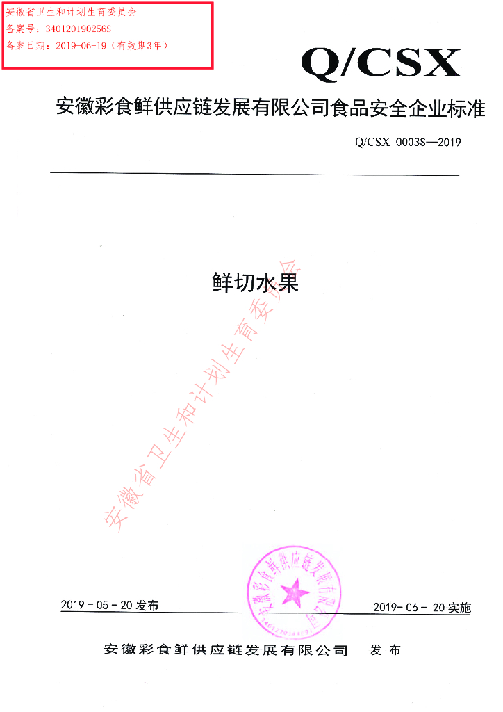 Q/CSX 0003S-2019 标准预览