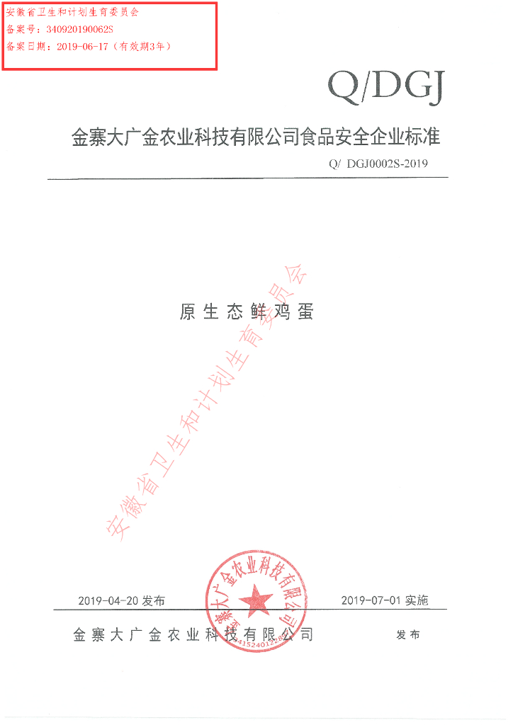 Q/DGJ 0002S-2019 标准预览