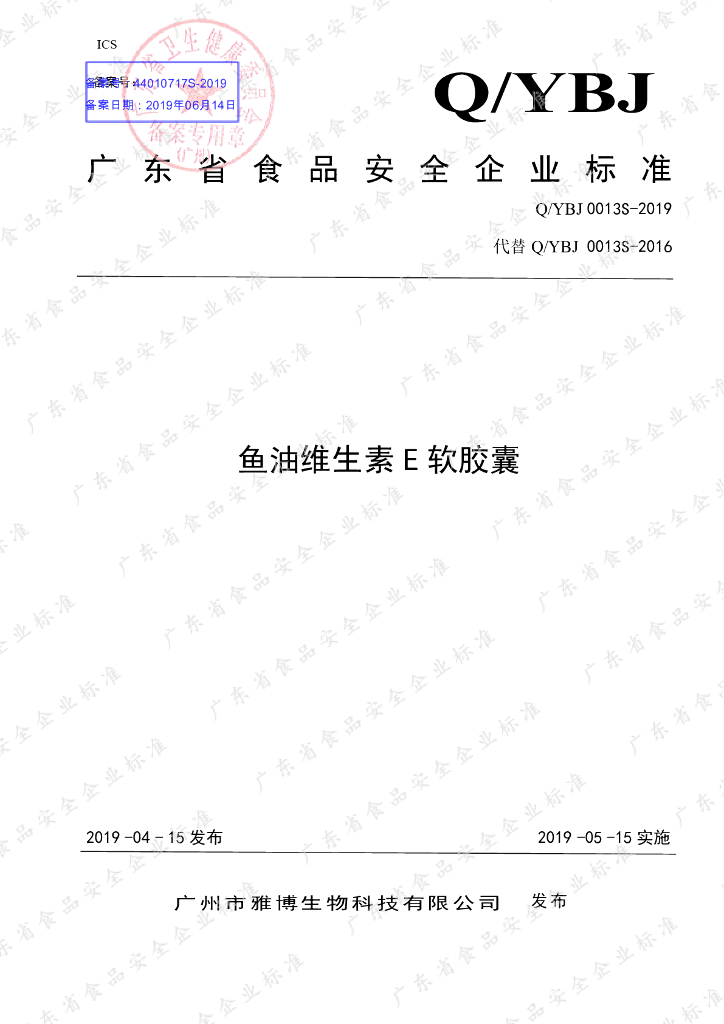 Q/YBJ 0013S-2019 标准预览