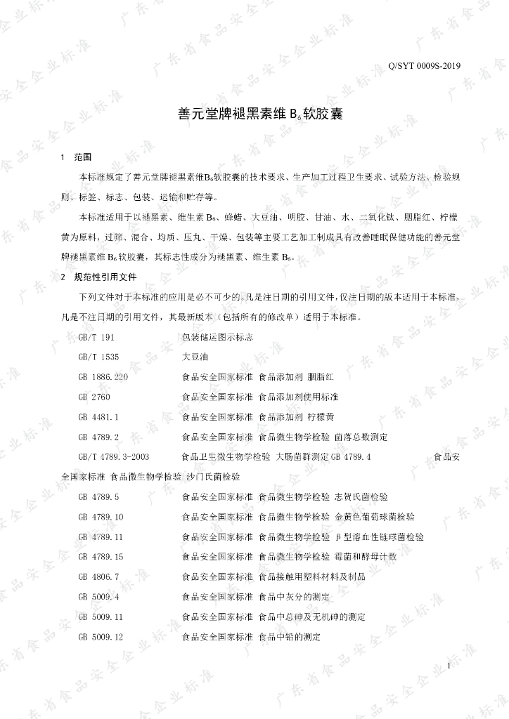 Q/SYT 0009S-2019 标准预览