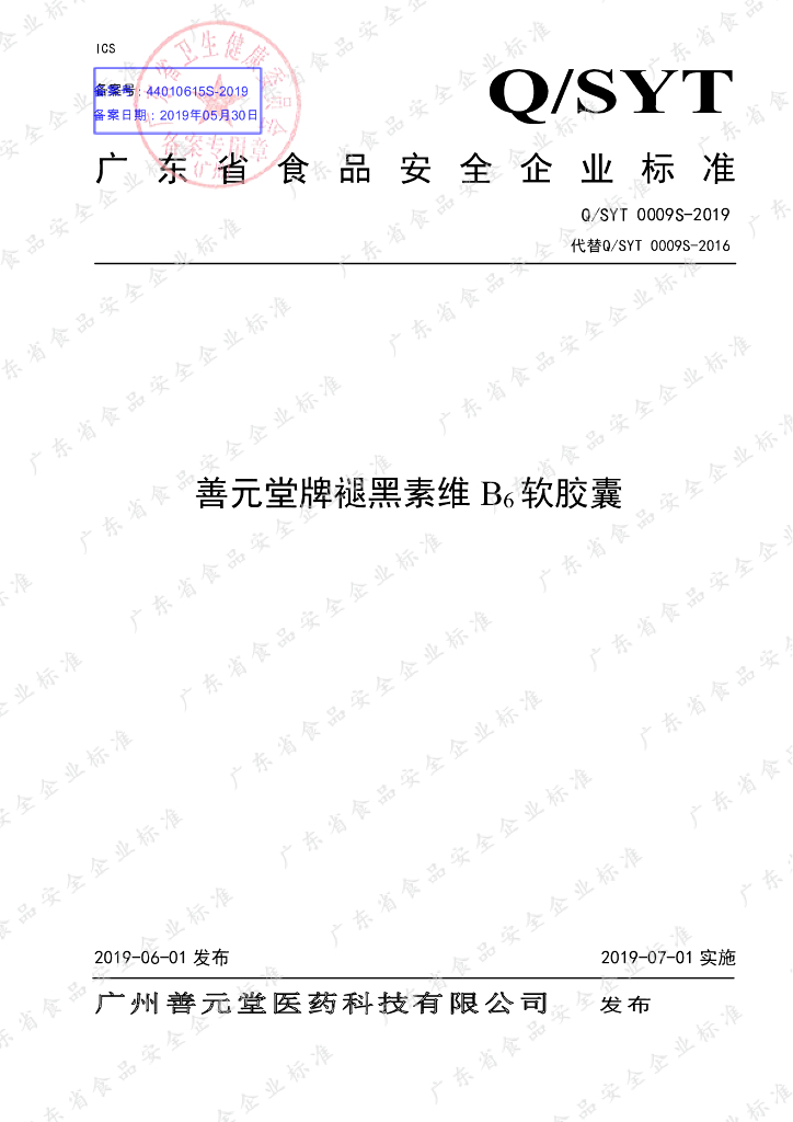 Q/SYT 0009S-2019 标准预览