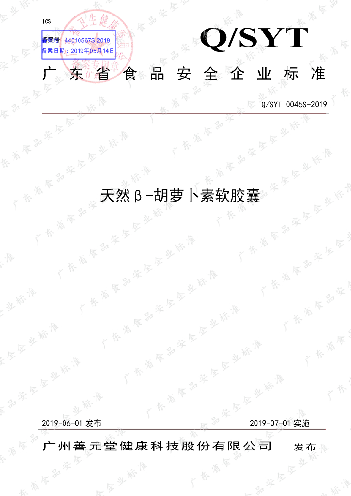 Q/SYT 0045S-2019 标准预览