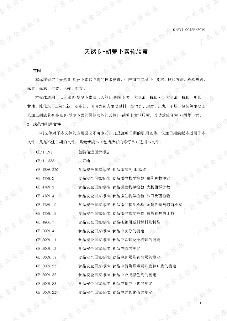 Q/SYT 0045S-2019 标准预览