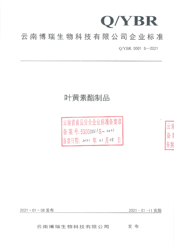 Q/YBR 0001S-2021 标准预览