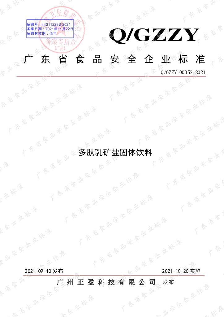 Q/GZZY 0005S-2021 标准预览