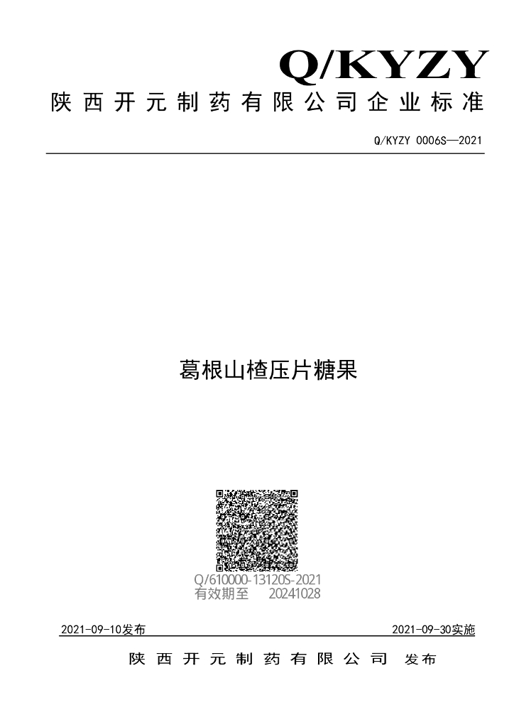 Q/KYZY 0006S-2021 标准预览