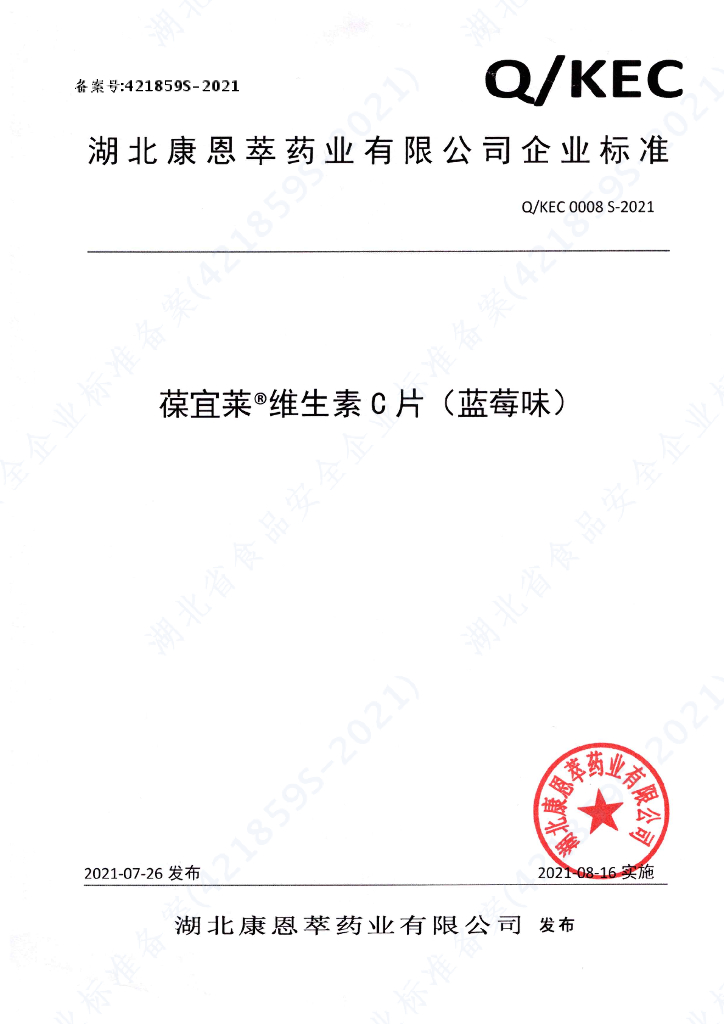 Q/KEC 0008S-2021 标准预览