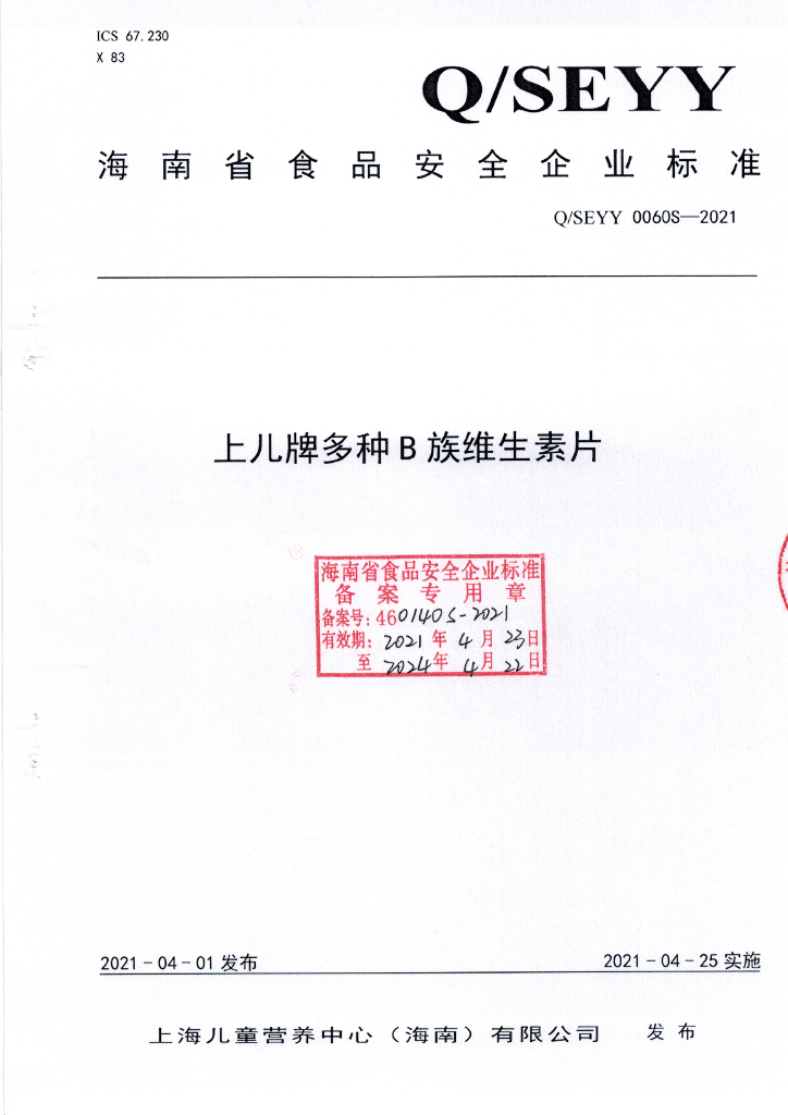 Q/SEYY 0060S-2021 标准预览