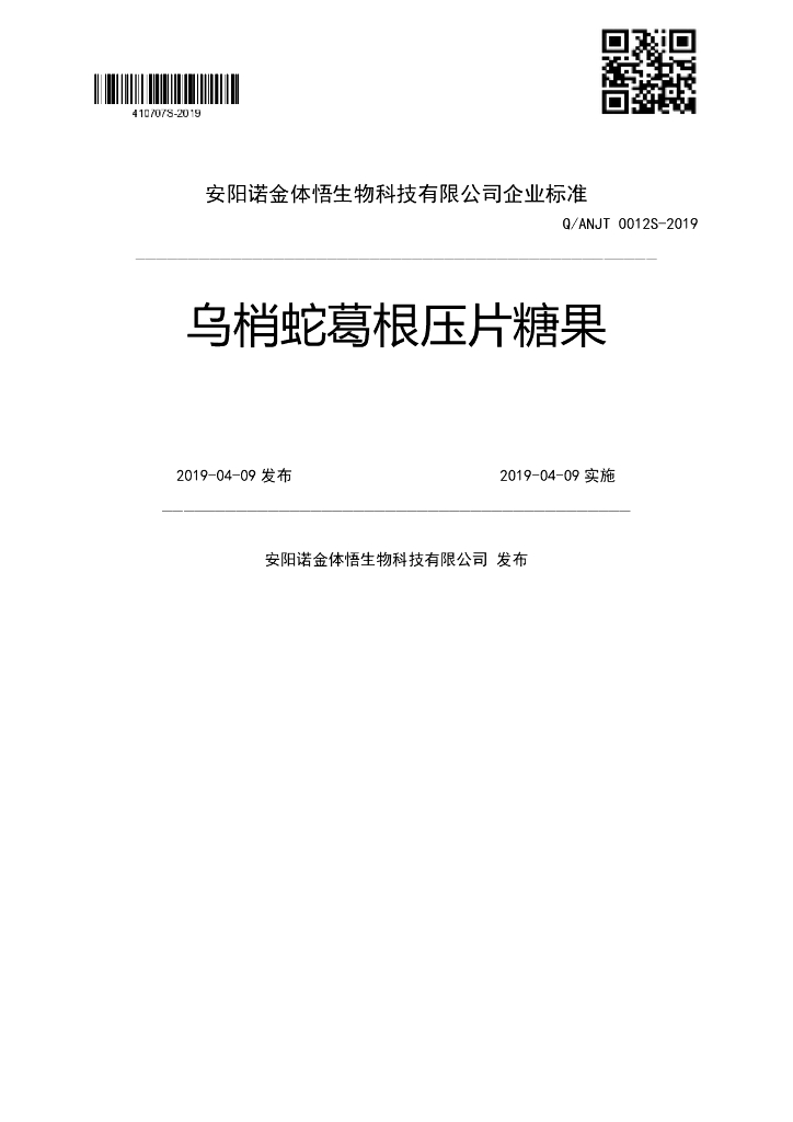 Q/ANJT 0012S-2019 标准预览