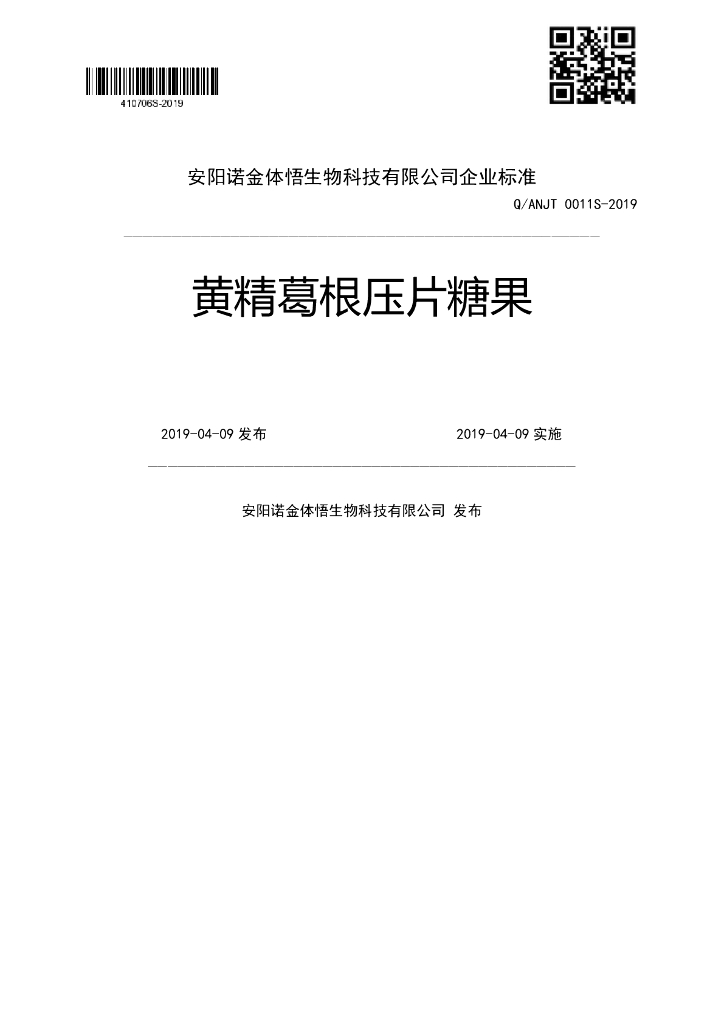 Q/ANJT 0011S-2019 标准预览