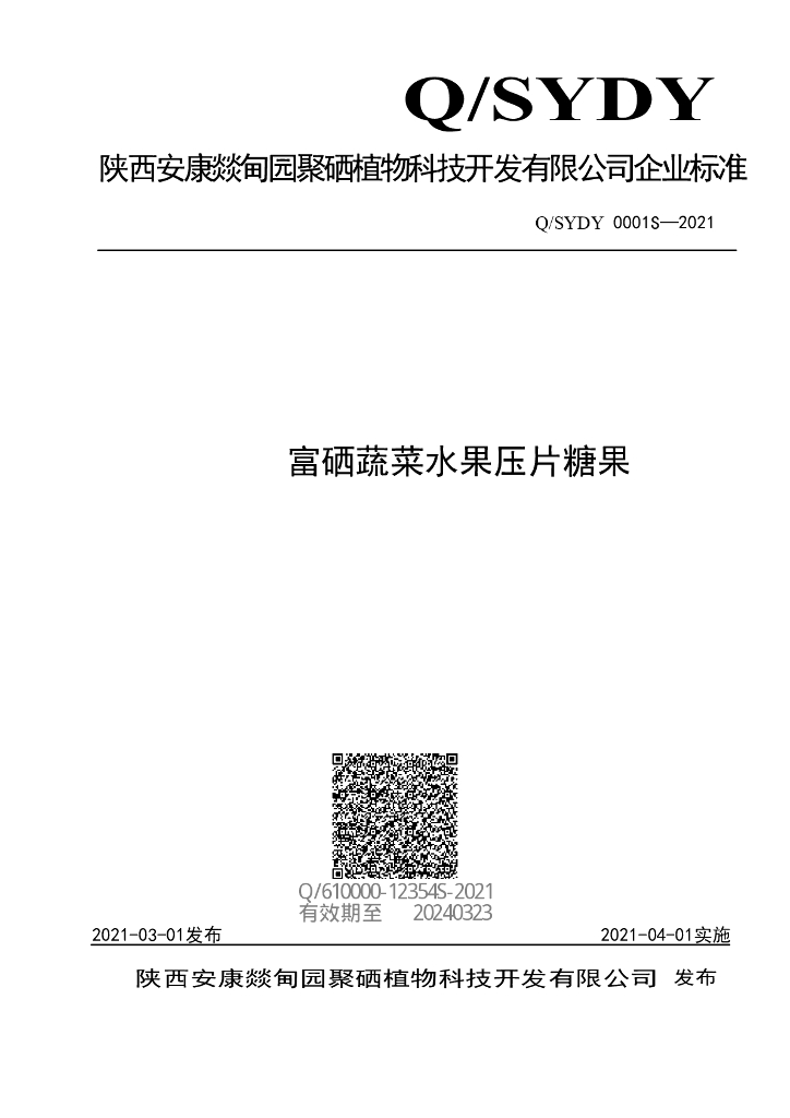 Q/SYDY 0001S-2021 标准预览